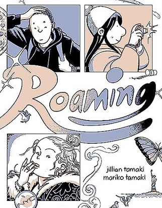 Roaming cover