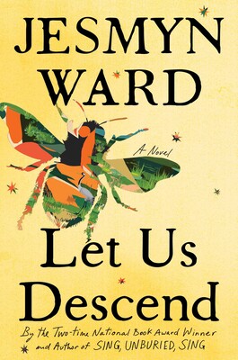 let us descend book cover