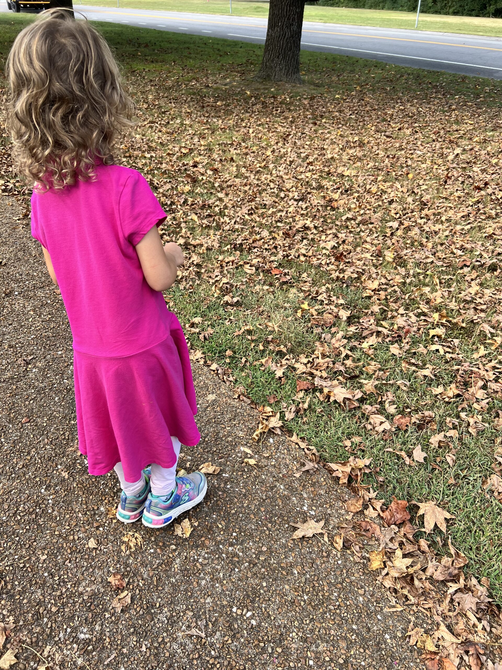 Marian looking at fall leaves, the kids are all right