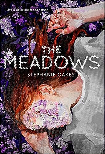 the meadows book cover