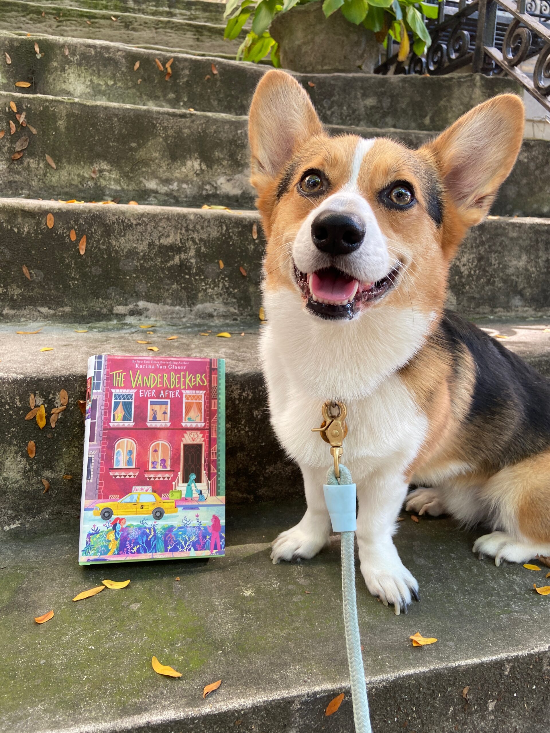 Tri-color corgi with The Vanderbeekers Ever After