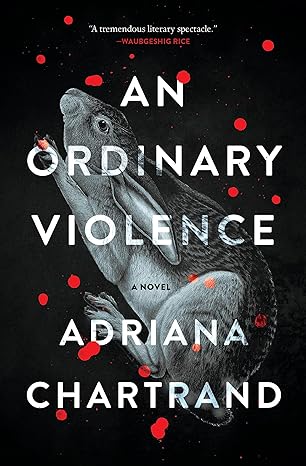 Cover of An Ordinary Violence by Adriana Chartrand
