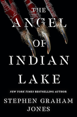 the angel of indian lake book cover