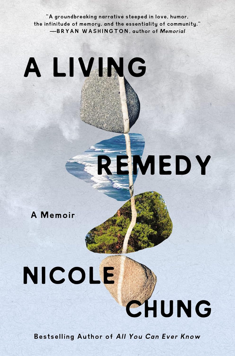 a graphic of a cover of A Living Memory by Nicole Chung