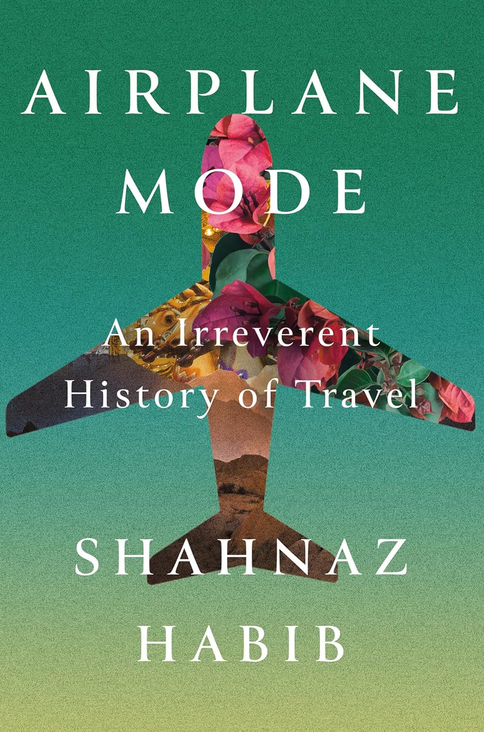 a graphic of the cover of Airplane Mode: An Irreverent History of Travel by Shahnaz Habib