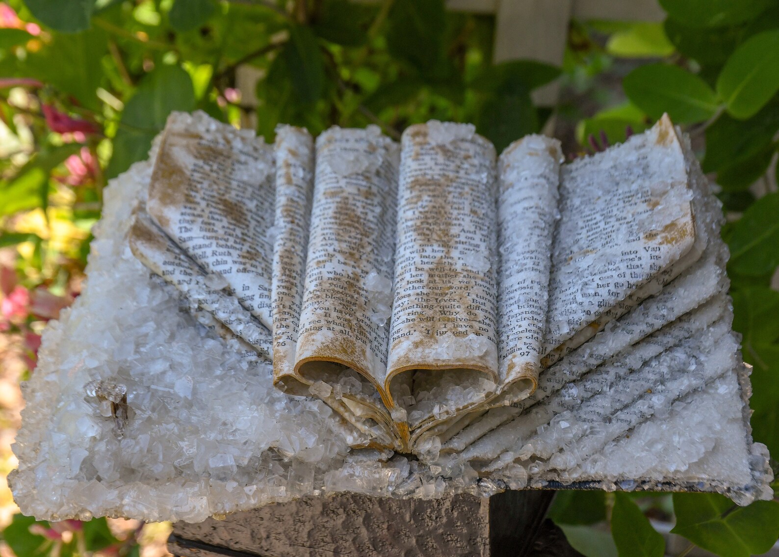 a photo of a book that has been crystalized. IT looks almost frozen, dripping with ice. 