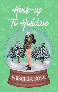 cover of Hook-up to Holidate