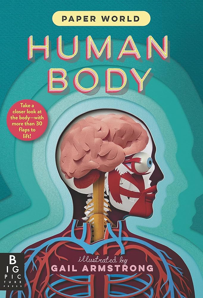 Cover of Paper World: Human Body by Armstrong