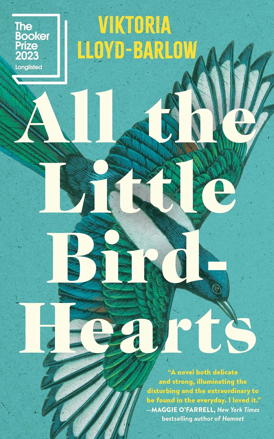 a graphic of the cover of All the Little Bird-Hearts by Viktoria Lloyd-Barlow 