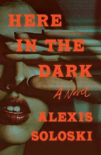 cover image for Here in the Dark