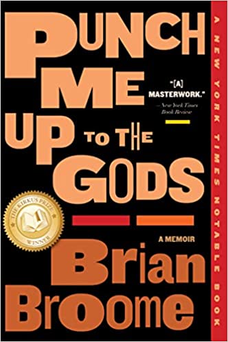 a graphic of the cover of Punch Me Up to the Gods by Brian Broome