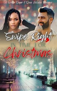 cover of Swipe Right in Time for Christmas