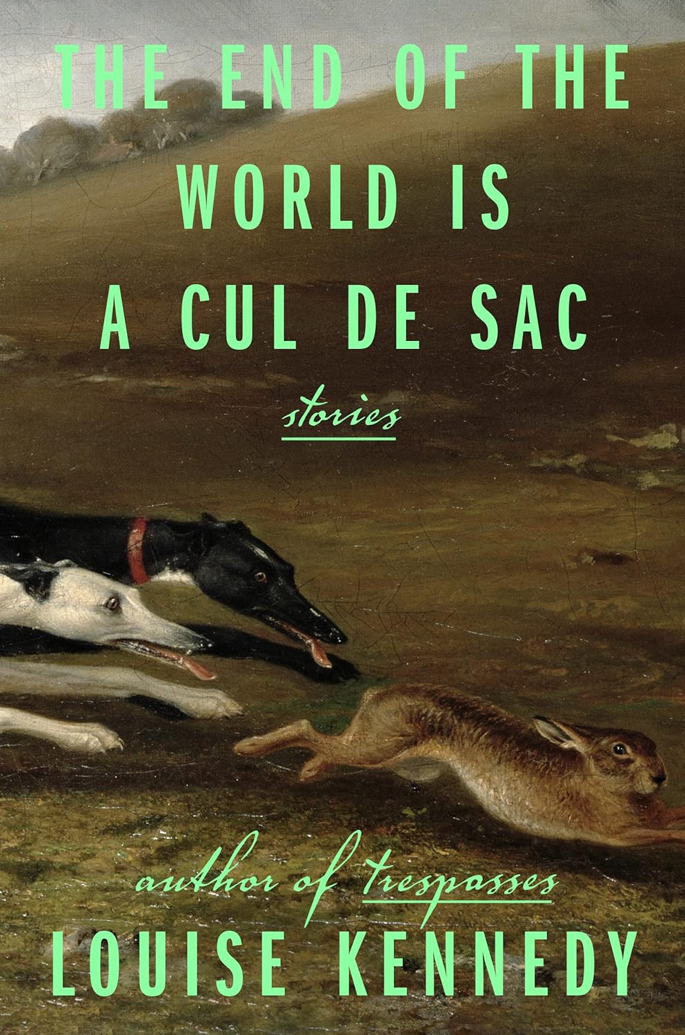 cover of The End of the World Is a Cul de Sac by Louise Kennedy