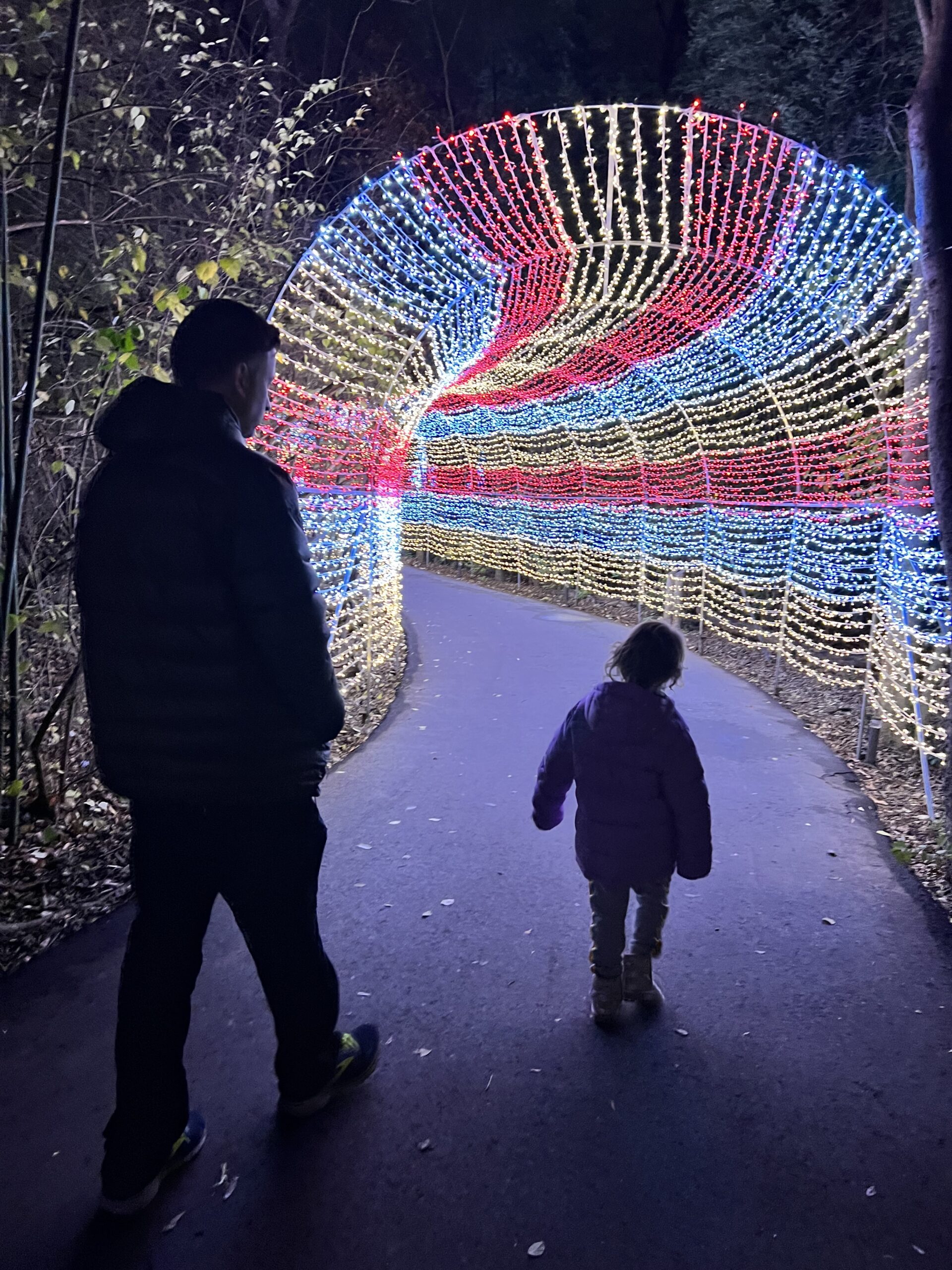 a photo of a child and adult silhouette walking through an arch of Christmas lights