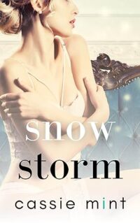 cover of Snow Storm