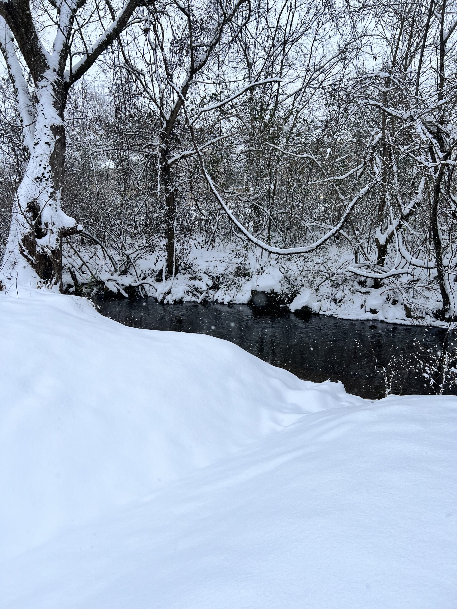 Snow and creek, the kids are all right