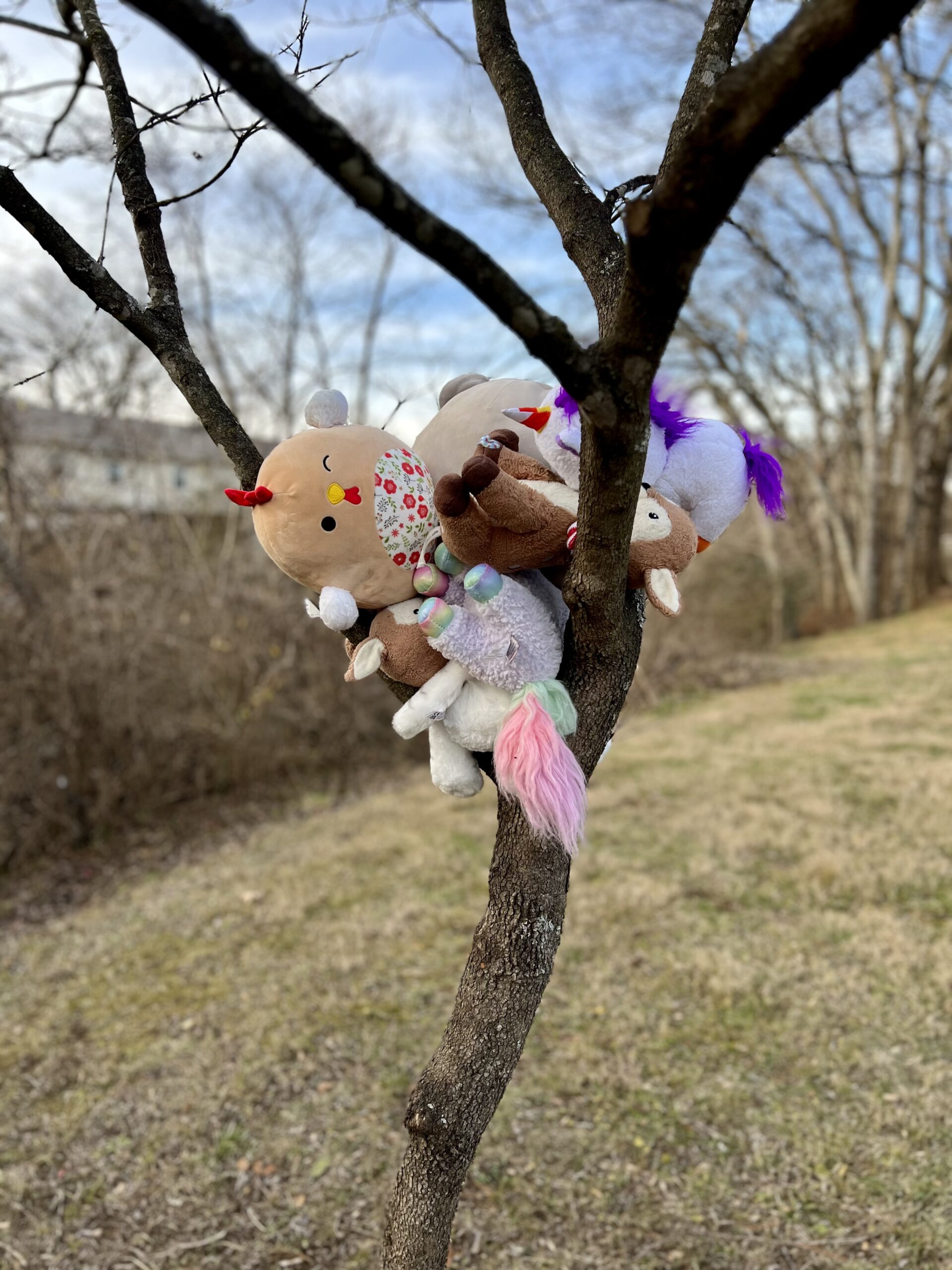 Stuffed animals in tree, the kids are all right