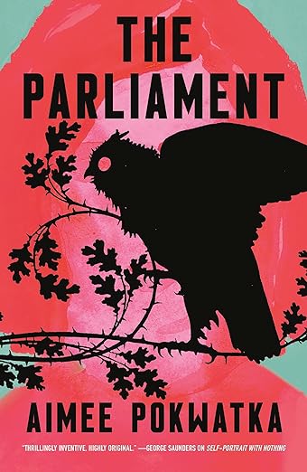 cover of The Parliament by Aimee Pokwatka