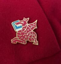 picture of Book Wyrm pin