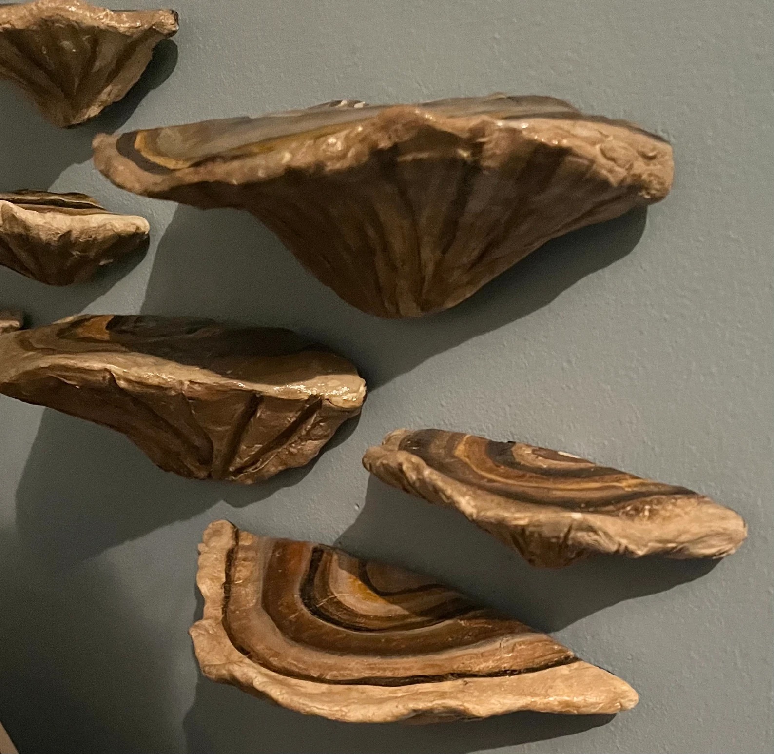 a photo of wooden bookshelves designed to look like mushrooms growing on the side of a tree