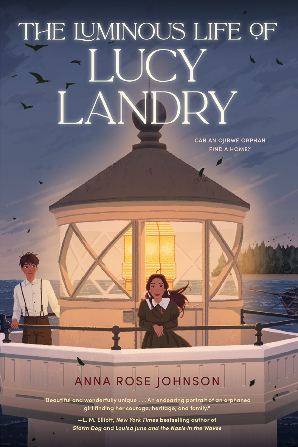 Cover of The Luminous Life of Lucy Landry by Anna Rose Johnson