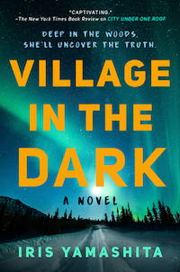 cover image for Village in the Dark