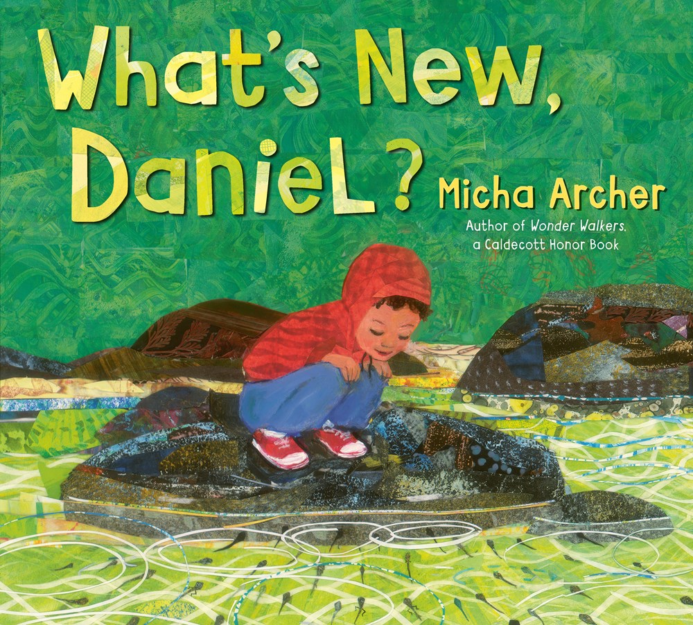 Cover of What's New, Daniel? by Micha Archer