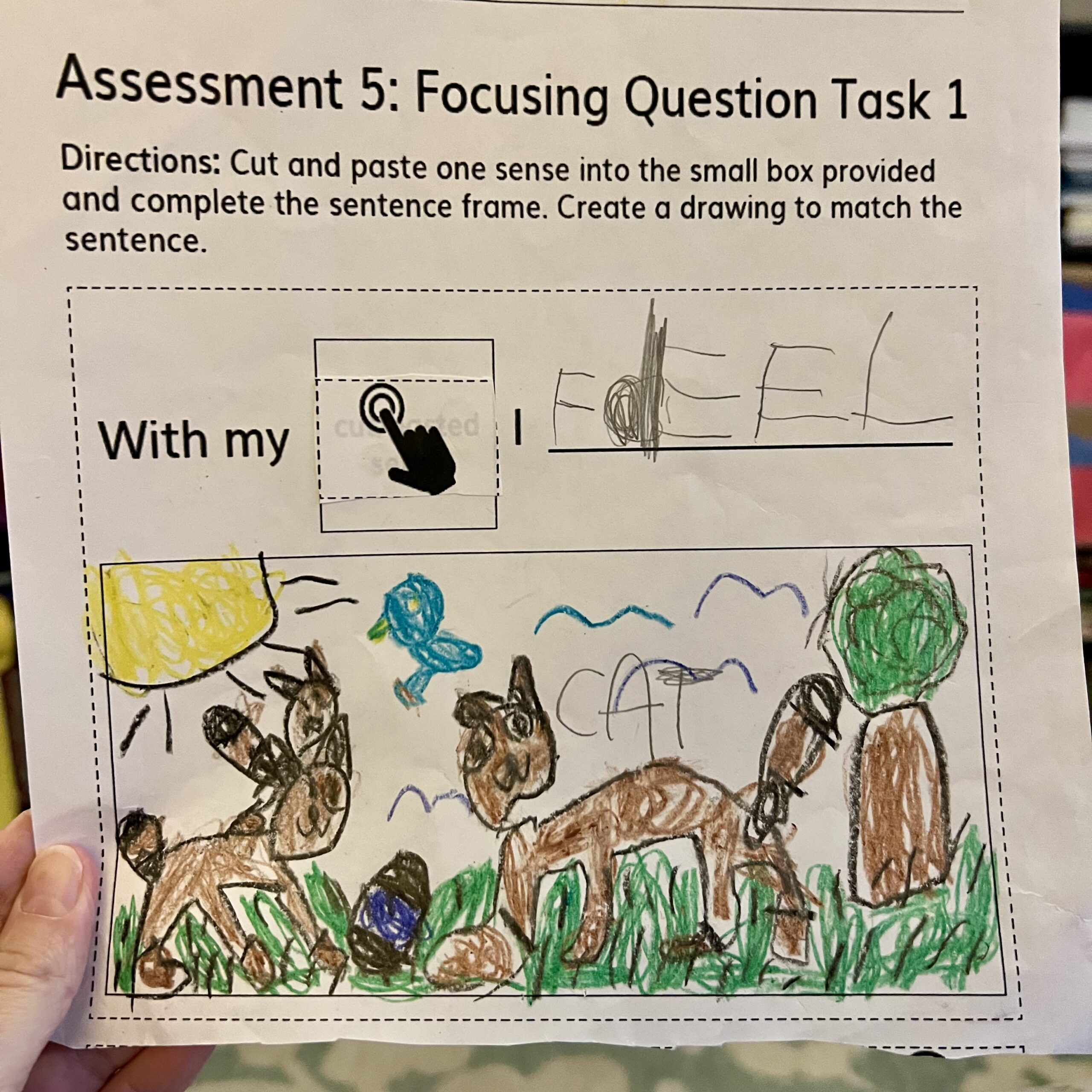 a photo of a worksheet with an illustration of cals under the text "With my [finger icon] I feel..."