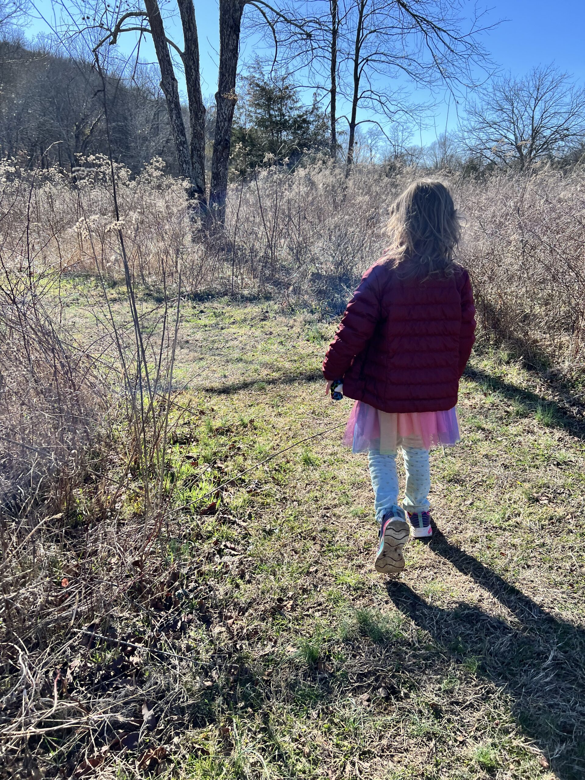 Hiking, the kids are all right