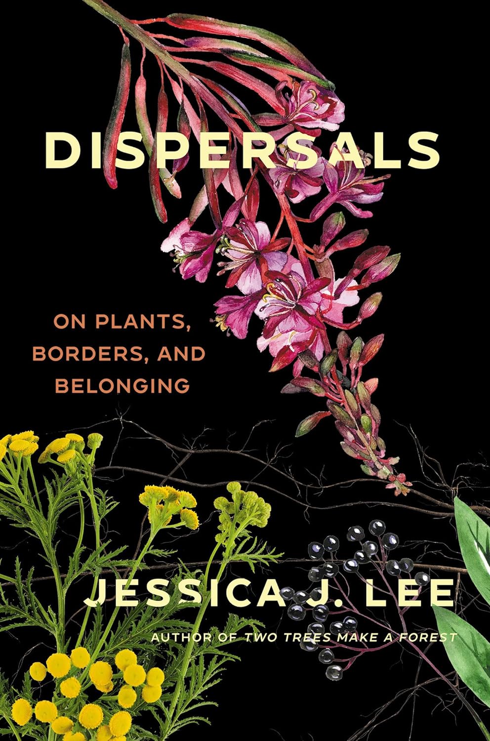 a graphic of the cover of Dispersals: On Plants, Borders, and Belonging by Jessica J. Lee