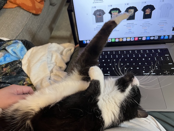 a black and white cat stretched out on its back with its front paw stretched towards a computer screen