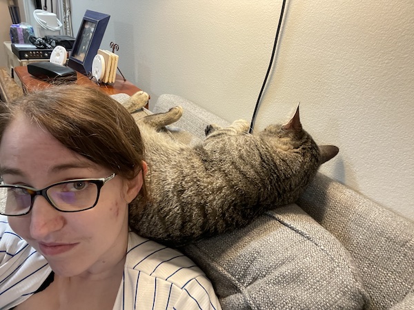 a brown tabby cat laying on the back of a couch and resting its weight on the back of a woman's neck