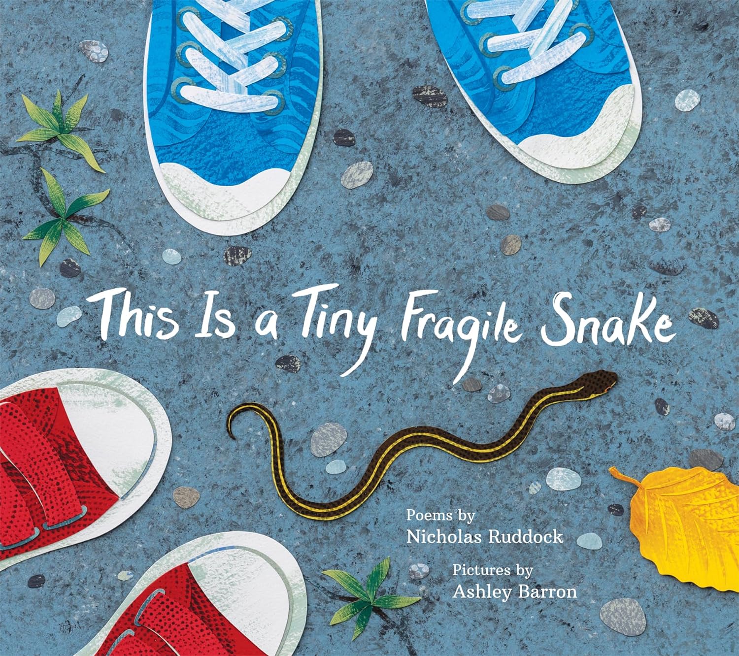 Cover of This is a Tiny Fragile Snake by Nicholas Ruddock, illustrated by Ashley Barron