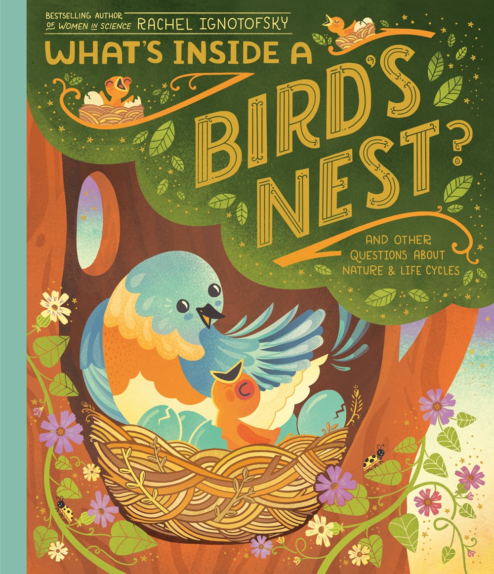 Cover of What's Inside A Bird's Nest? by Rachel Ignotofsky