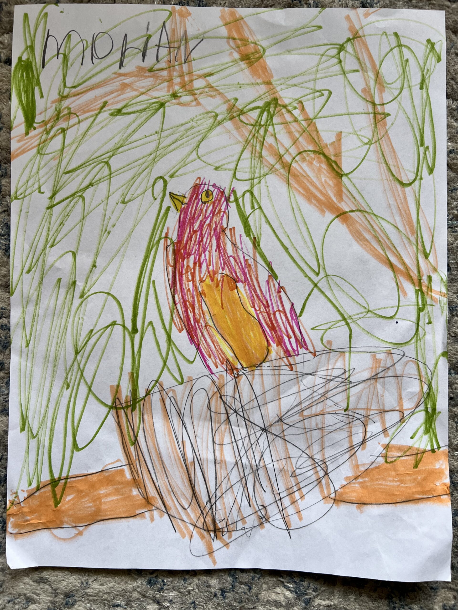 Bird drawing, the kids are all right