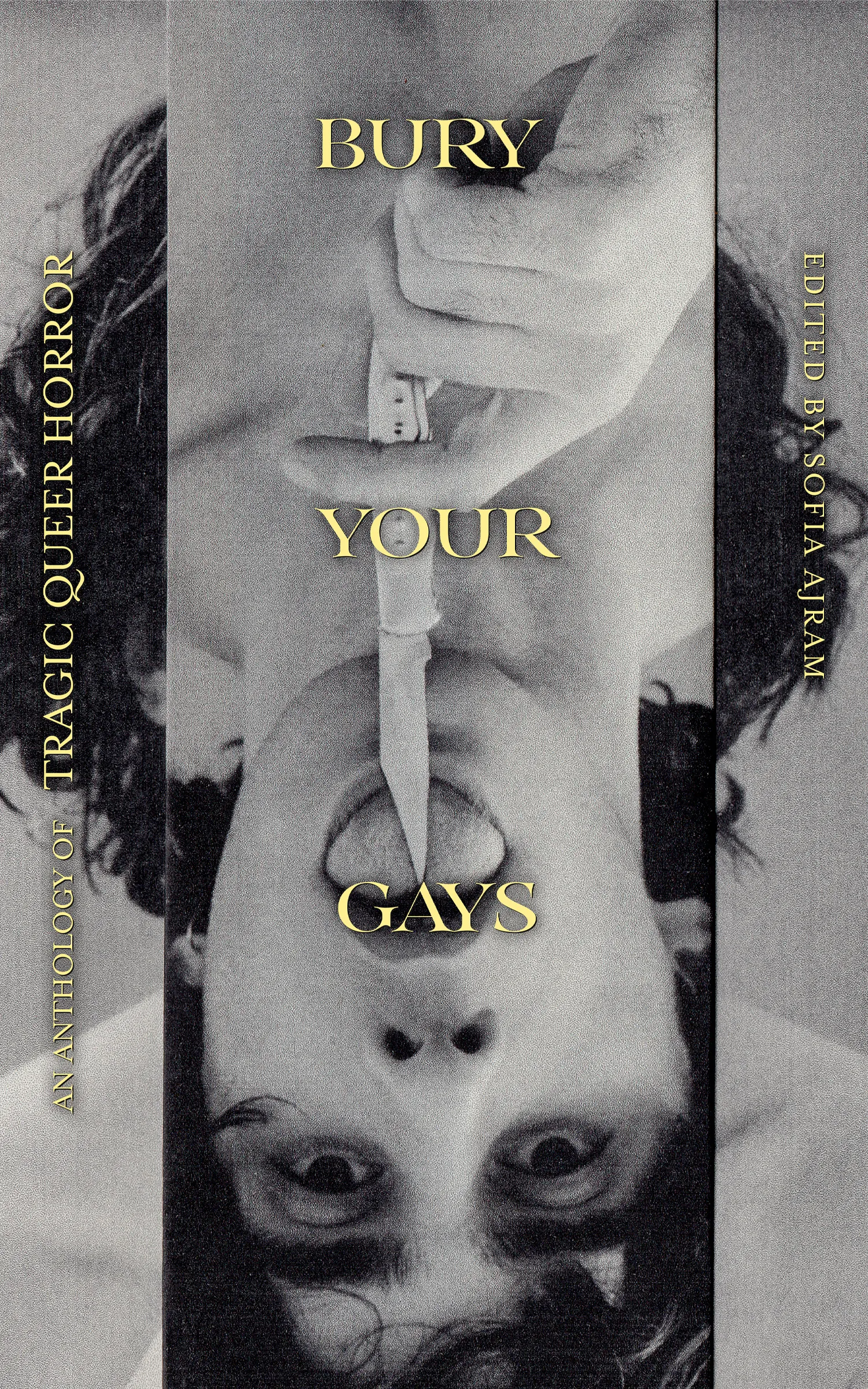 bury your gays book cover