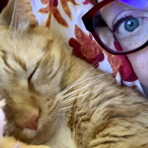 close up of orange cat asleep with one blue eye behind glasses in the corner of the image; photo by Liberty Hardy