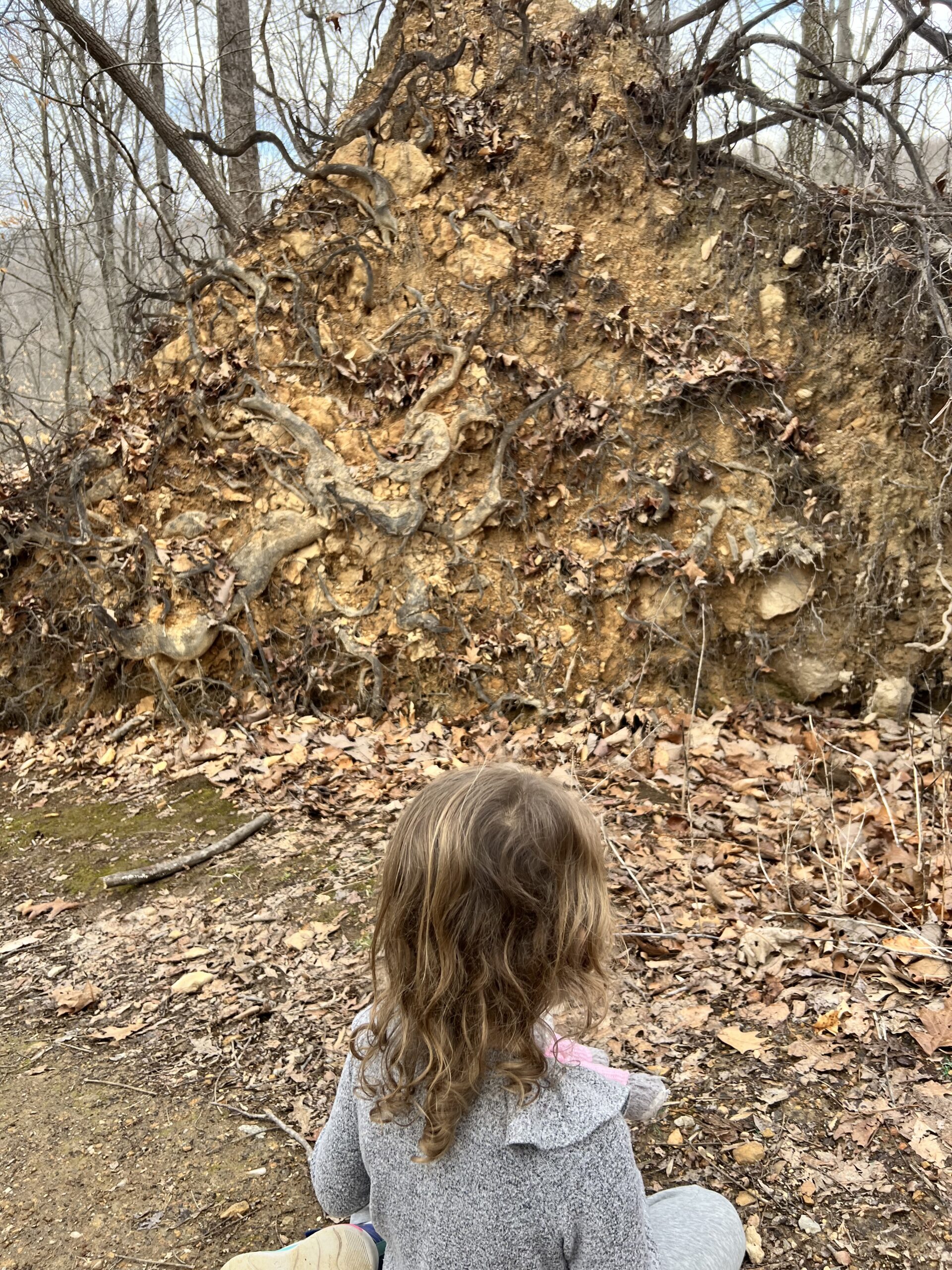 Gnarly tree roots, the kids are all right