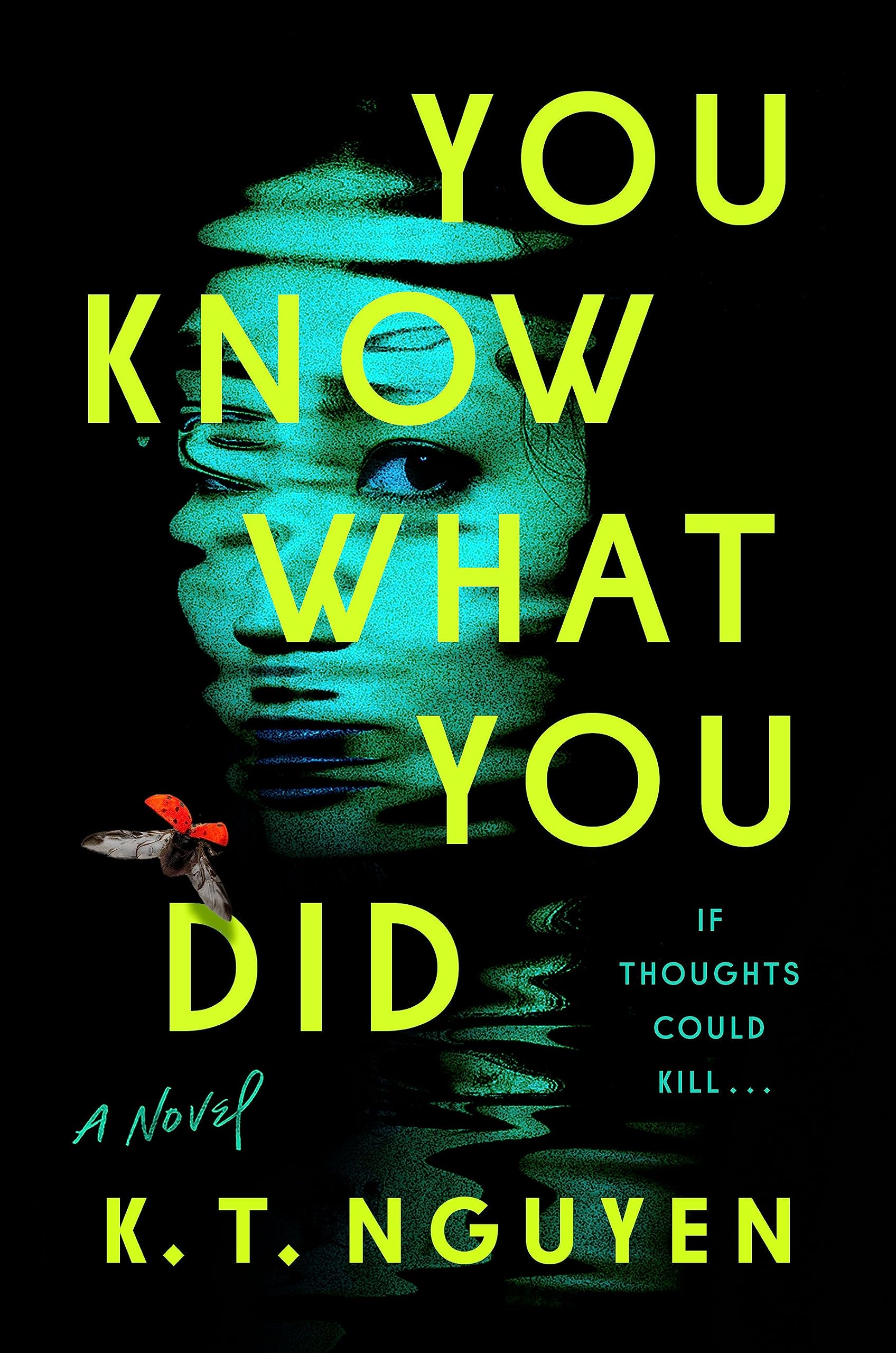 you know what you did book cover