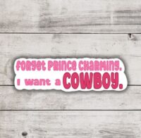 picture of I want a cowboy sticker