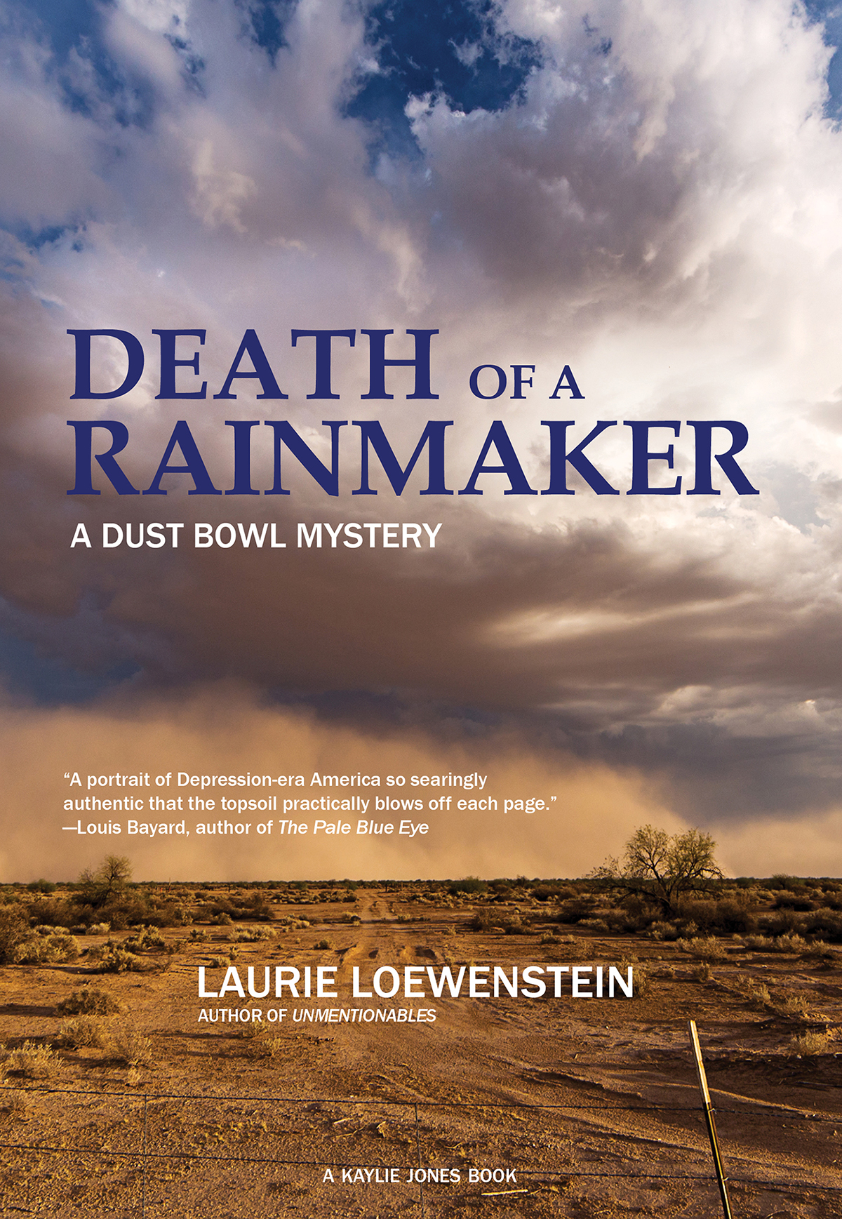 cover of Death of a Rainmaker by Laurie Loewenstein