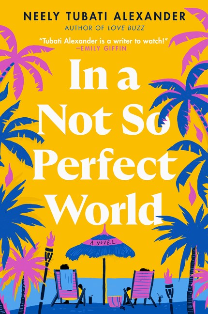 cover of In a Not So Perfect World by Neely Tubati Alexander