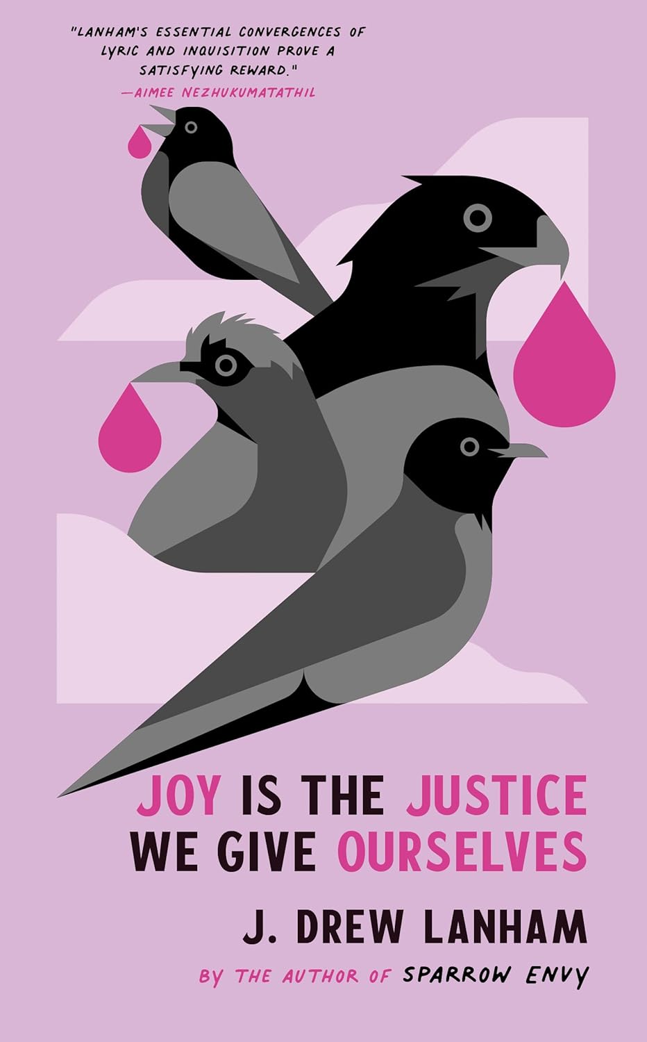 a graphic of the cover of Joy is the Justice We Give Ourselves