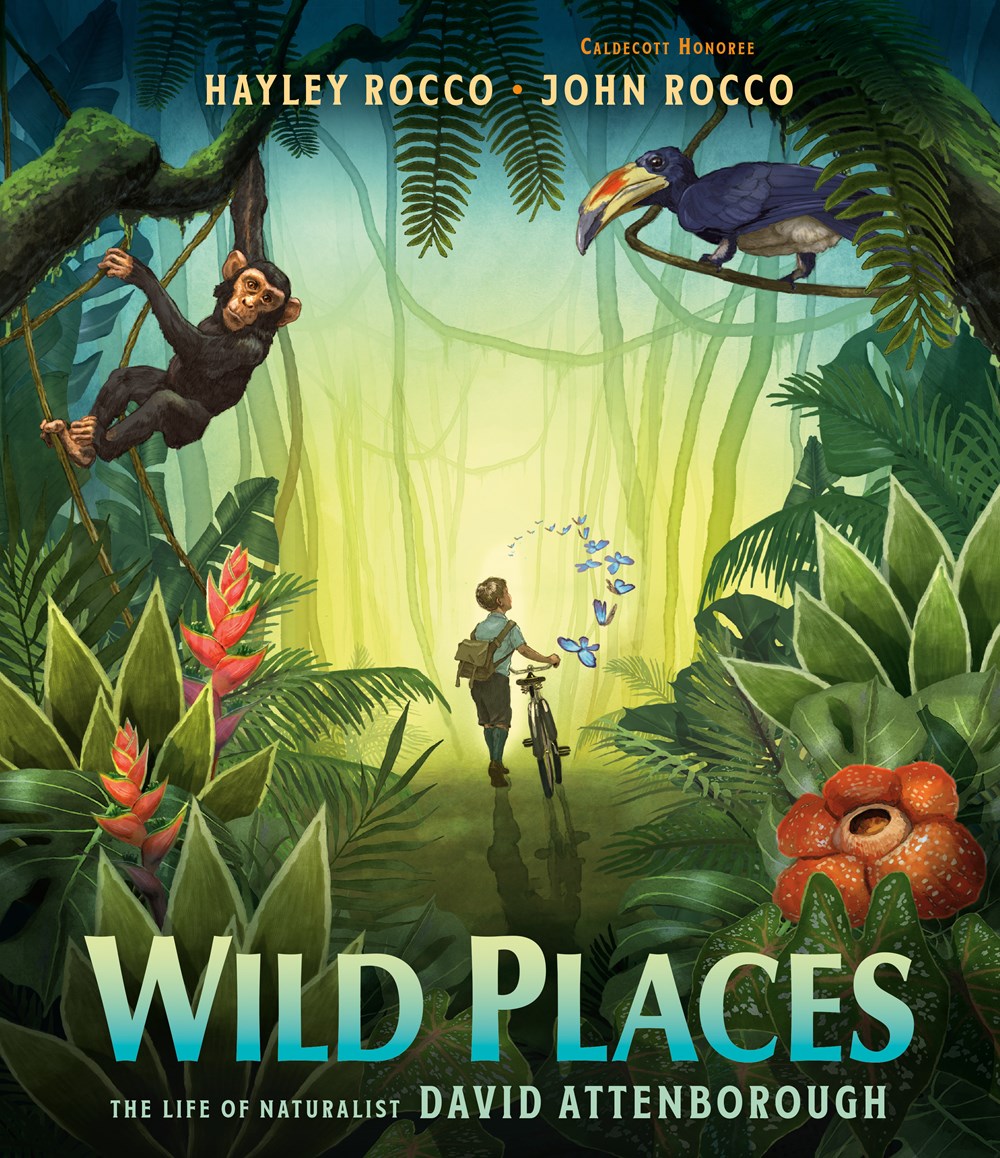 Cover of Wild Places: The Life of Naturalist David Attenborough by Hayley Rocco, illustrated by John Rocco