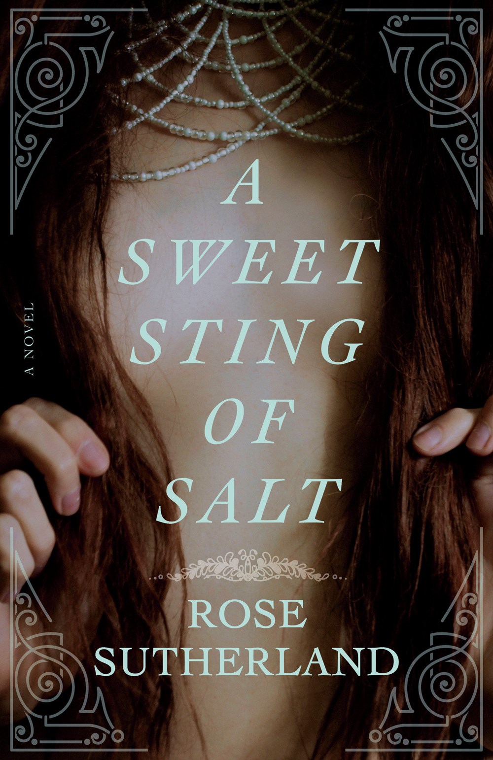 A Sweet Sting of Salt book cover