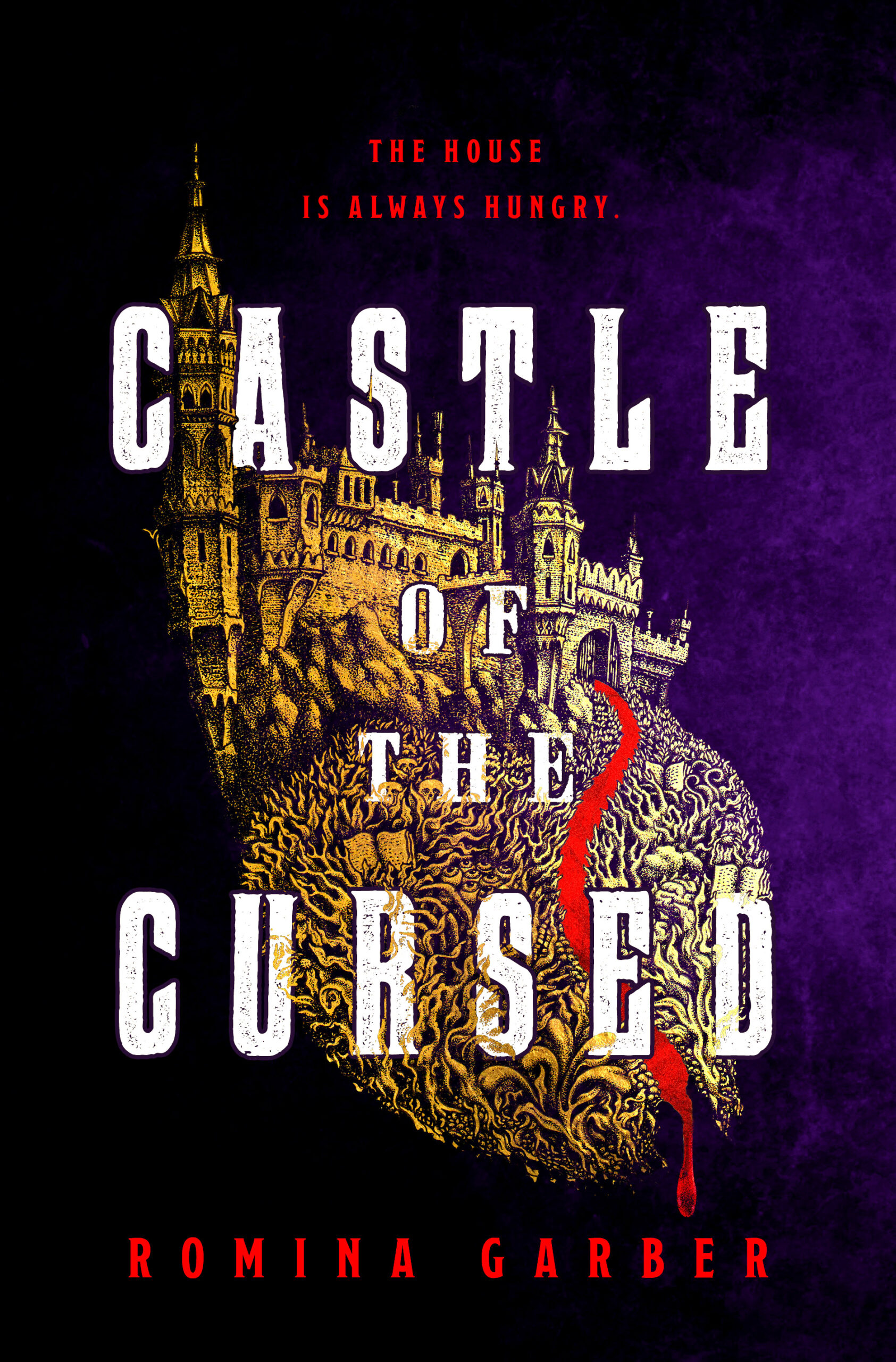 castle of the cursed book cover