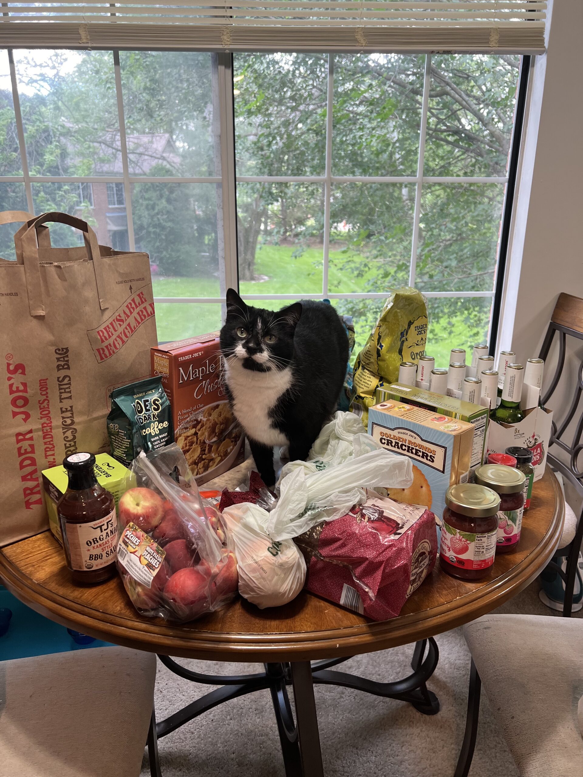 a black and white cat standing on a table in the middle of a bunch of groceries