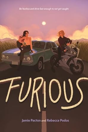 furious book cover