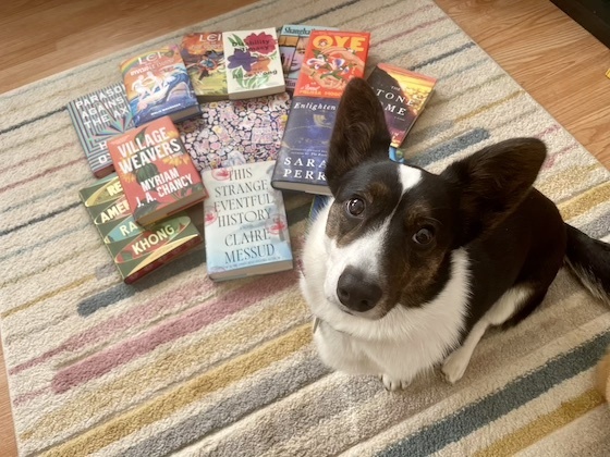 a photo of Gwen, a black and white Cardigan Welsh Corgi, sitting on a multi-colored rug. Behind her sits several books strewn out across the floor.