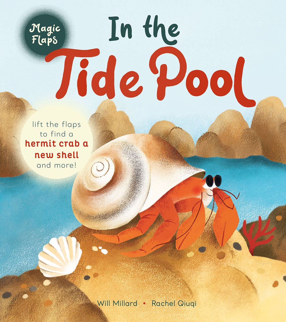 Cover of In the Tide Pool by Will Millard, illustrated by Rachel Quiqi